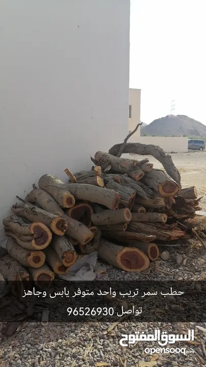 بيع حطب سدر وا شريش