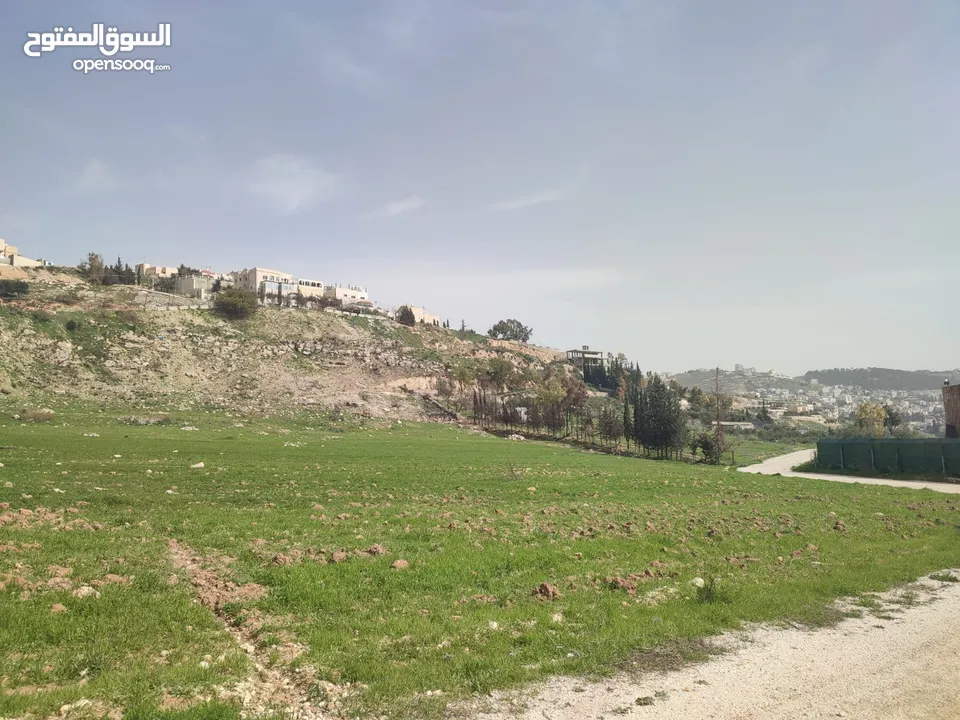 للبيع قطع اراضي في عيون الجاموس