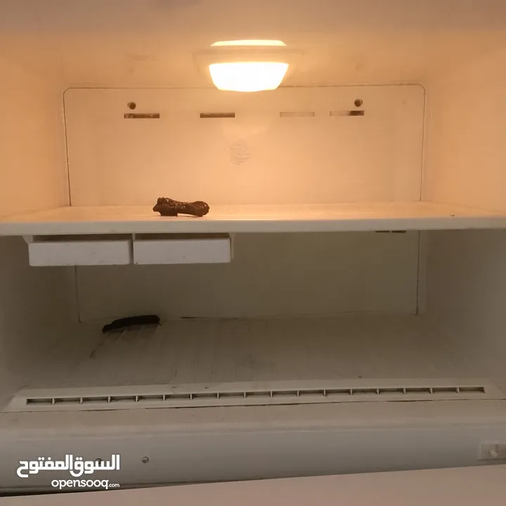 ثلاجه دايو كبيره توسع خاروفين