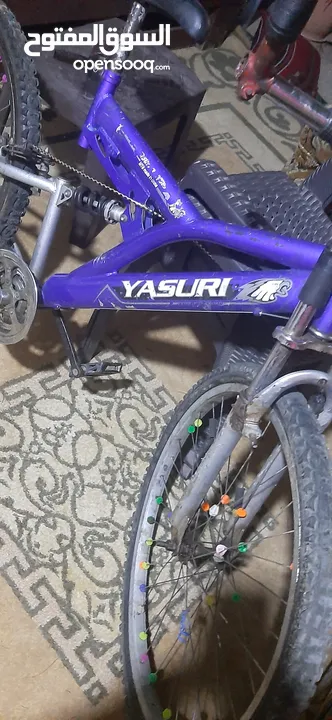 بس كليت لا بيع