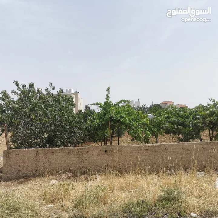 قطعة أرض للبيع