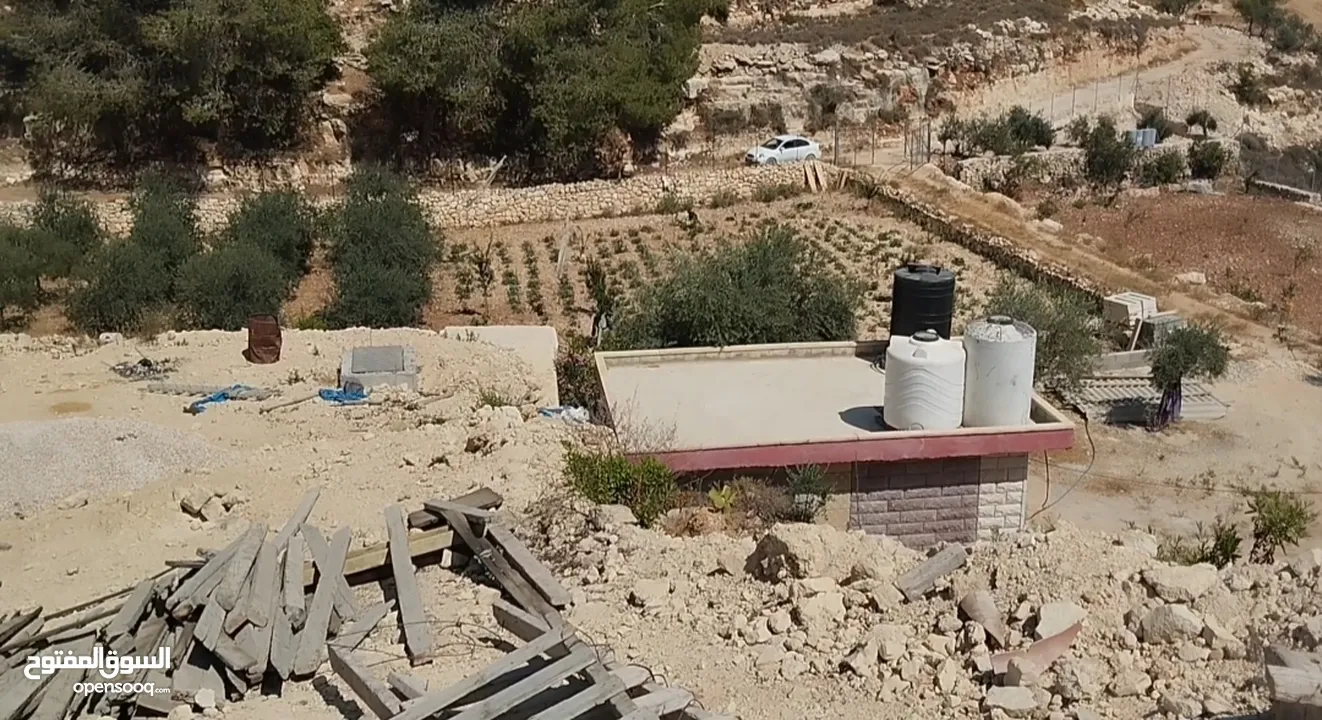 ارض معمرة ومرتبة (قريبة على كافيه زيتونة )