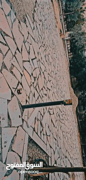 تركيب شحف وجميع الديكورات