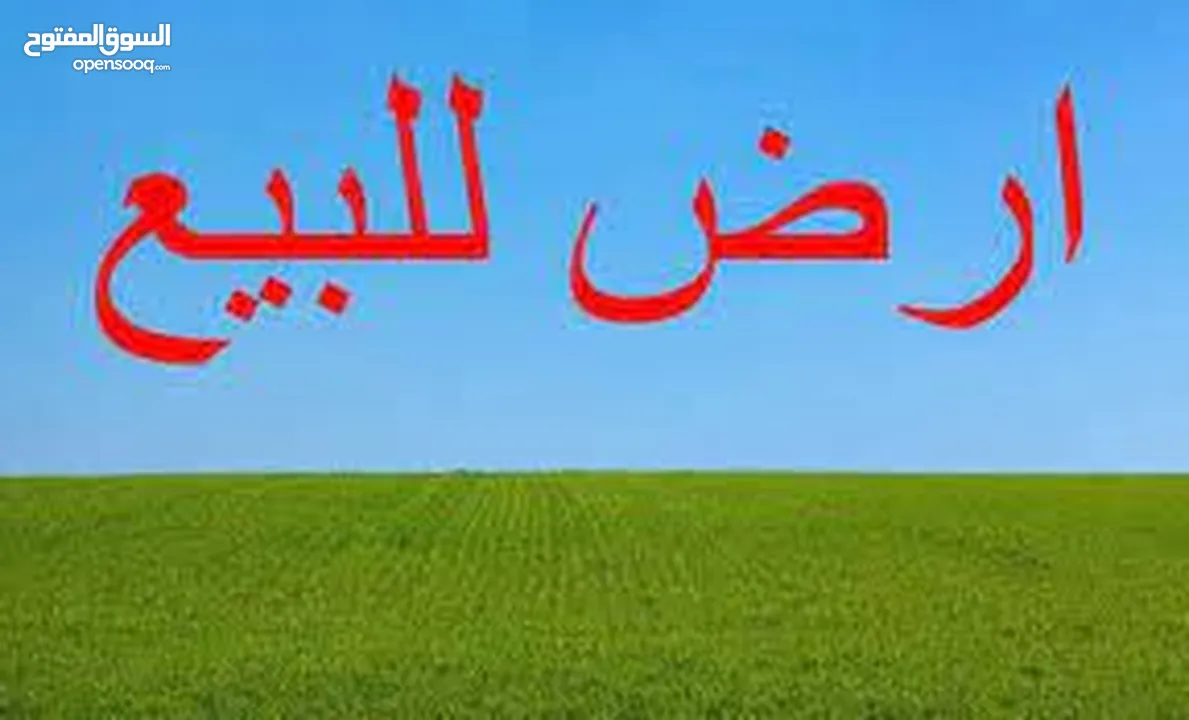 اراض استثمارية لااااتعوض -زراعية في قرية الاشرفية   من مالكها /10دونم