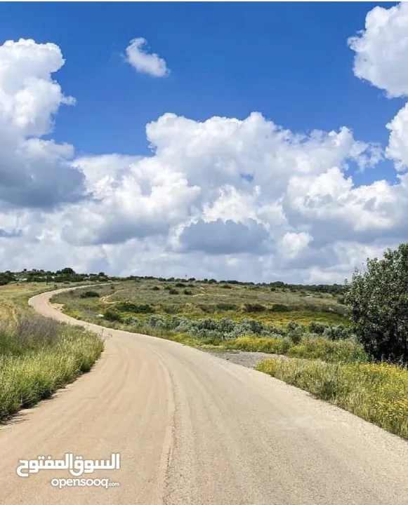 ارض للبيع اراضي صرة