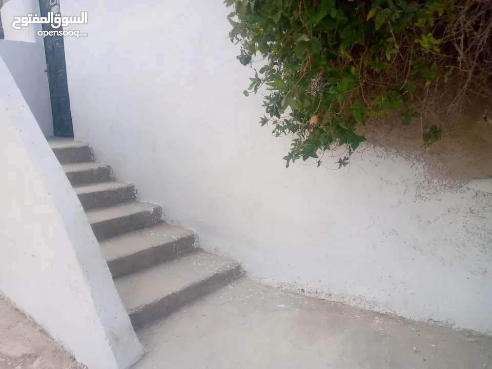 شقه للإيجار