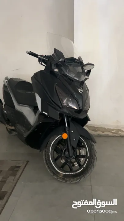كروز 2019 250cc ماشي 57 الف بحاله منيحه