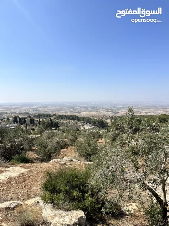 قطعة ارض للبيع مميزه ومطلة المساحة 4,609