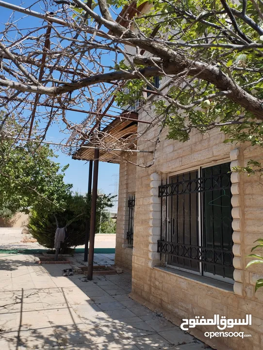 مزرعة للبيع ام العمد
