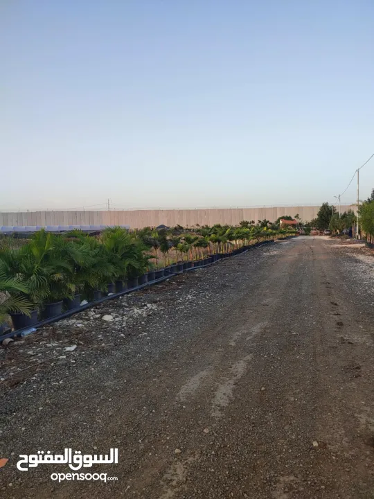 ارض طابو بمساحة 587 متر للبيع