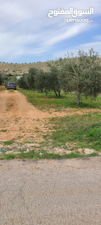 قطعة ارض مميزه جدا  على شارعين للبيع.    للسكن الفوري او للإستثمار المجدي