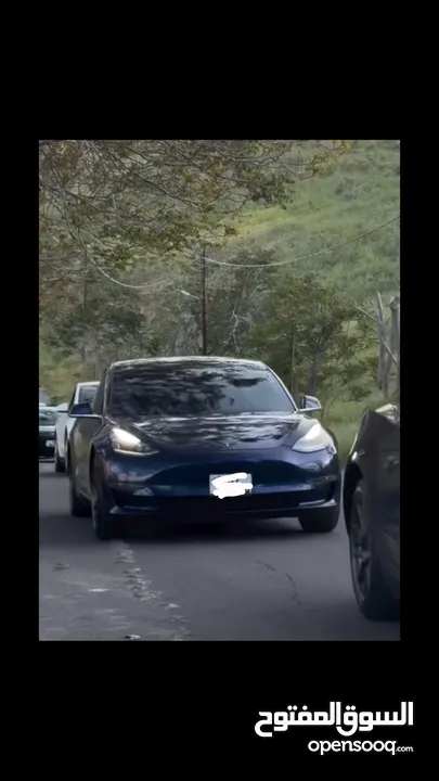 Tesla model 3 & tesla y