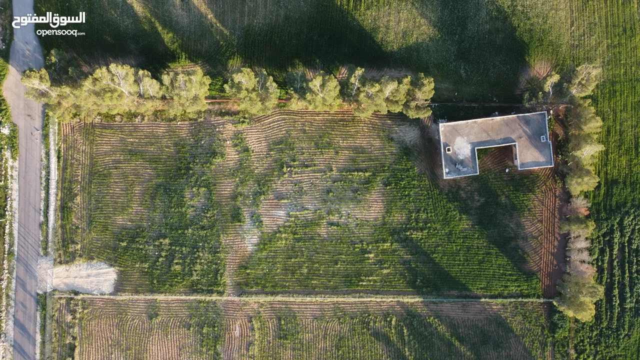 ارض مع مزرعة عظم بالاقساط من المالك بسعر الكاش بمساحة  3750 متر مربع جلول طريق المطار