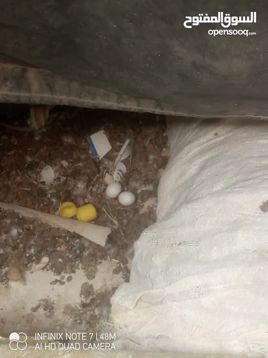(للبيع،،للبدل )حمام نظيف متعوب عليه اقرأ الوصف