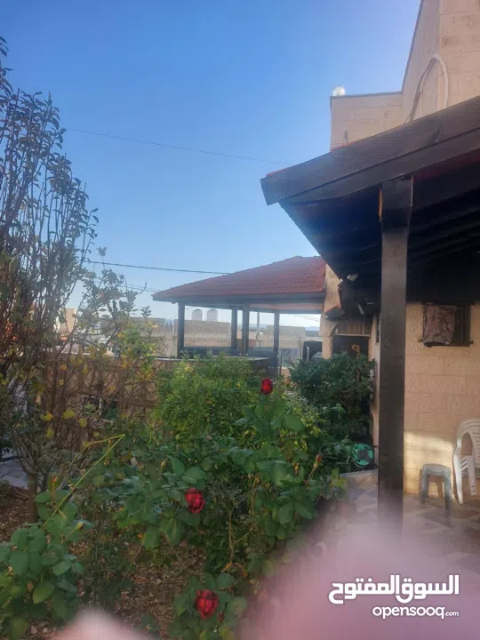 بيوت مستقله وفلا متوفره عدة مواقع اسعار من 100 الف دينار —— 500 الف دينار حرق اسعار ومواصفات بتجنن