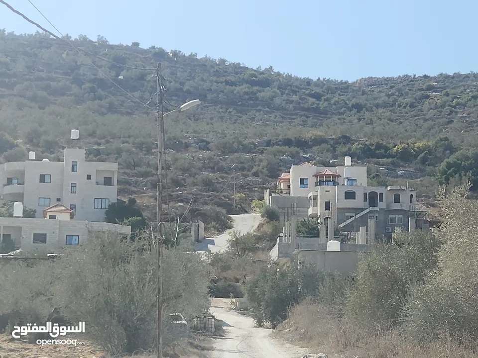 حصة في منطقة المشتل