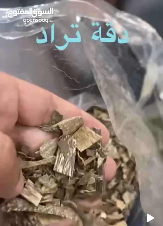 عود تراد طبيعي من الغابات على ااحدود الكمبودية