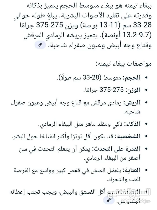 بغبغاء تيمنه حالتو النفسية ممتازة شبيه الكاسكو عمرو سنتين