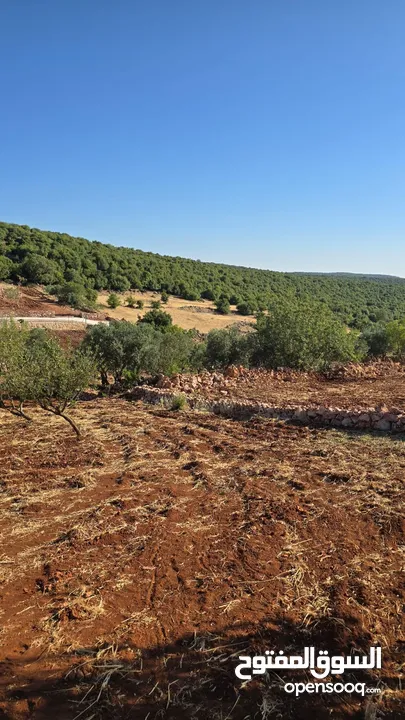 مزرعه 2 دونم مزروعه موقع مميز جدا  من مالك مباشر