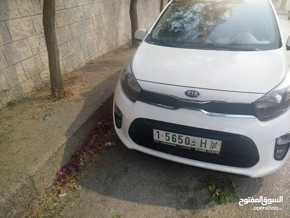 كاش اونص بنص بيكانتو مطور1250