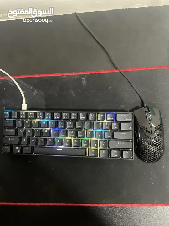 Keyboard and mouse