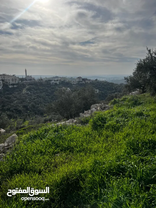 أرض للبيع بإطلالة غربية واصل جميع الخدمات