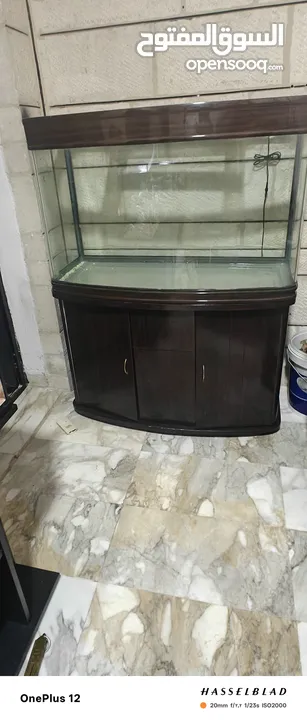متاح تشكيلة احواض سمك اجنبيه