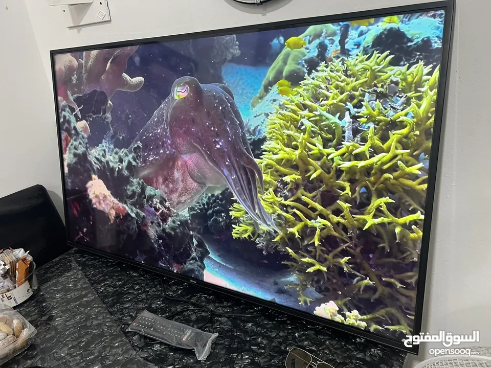 Wansa 55 inch smart you tube وانسا 55 بوصه سمارت ليس أندرويد HDMI USB حاله الجديد