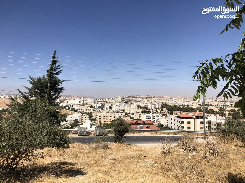 ارض للبيع شارع الاردن ( ام زويتينا )