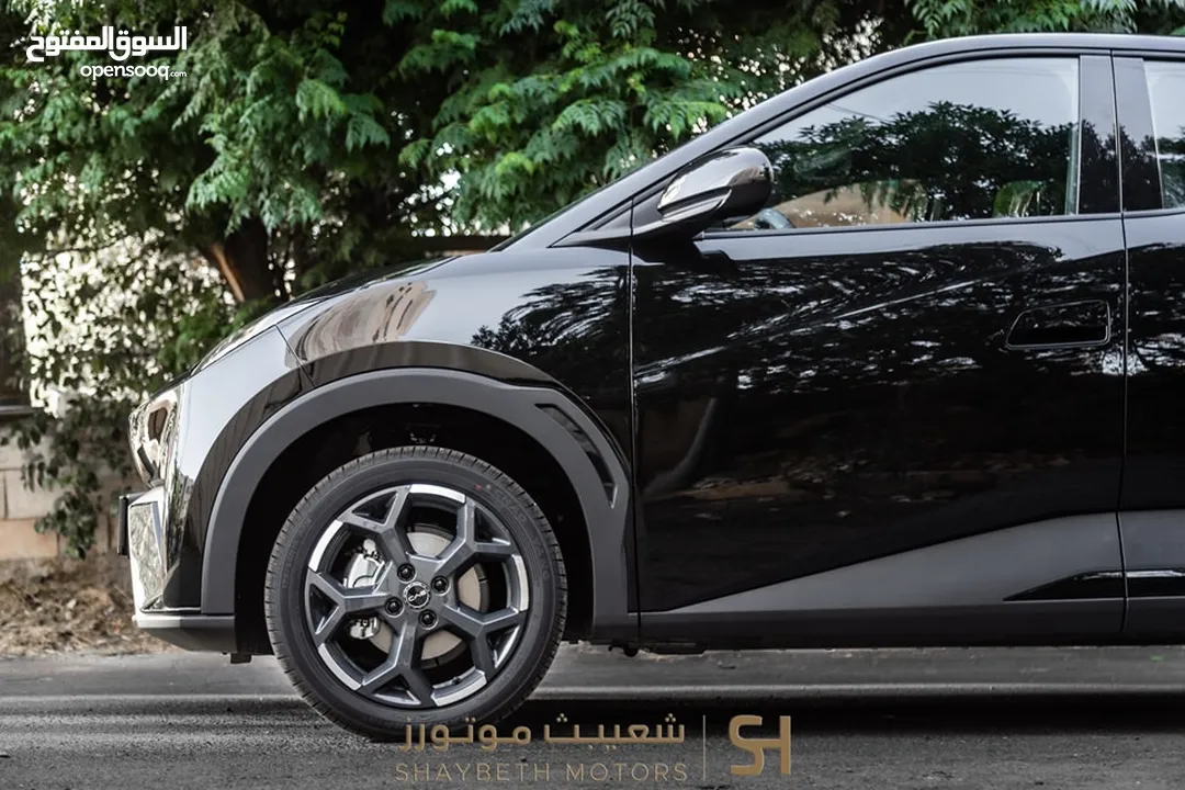 Byd Seagull 2024