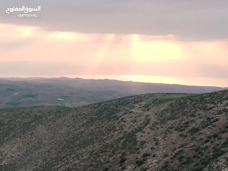 مادبا الفيحاء المصلوبية مزرعةمميزة مرتفعه ومطله تحتوي على بيت على شارعين ذات اطلالة على البحر الميت