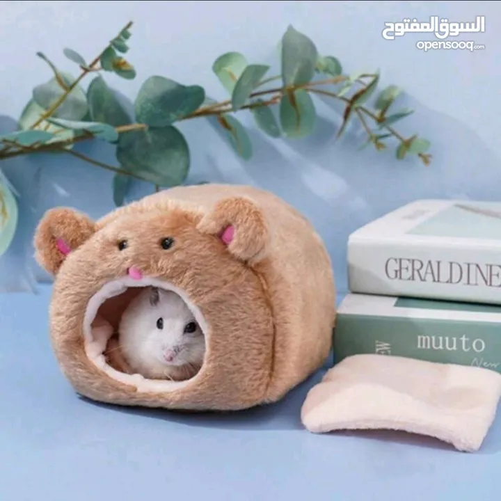 هامستر للبيع