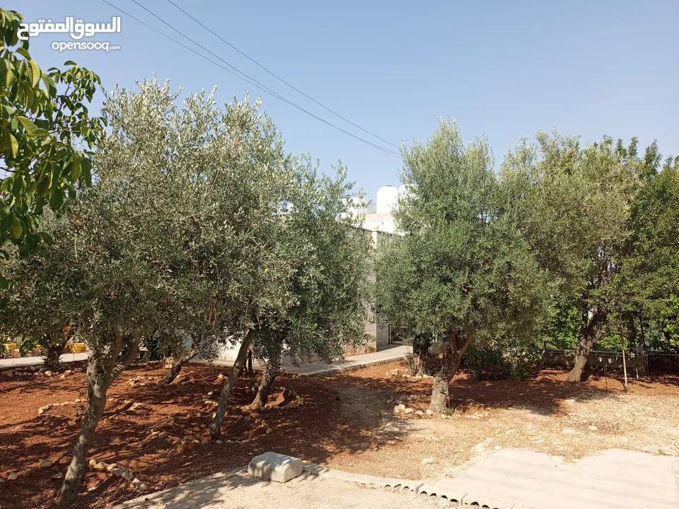 منزل شبه فيلا للايجار يصلح لعمل حضانه او روضه او مركز تحفيظ قرآن او شركه والعديد من الأعمال التجاريه
