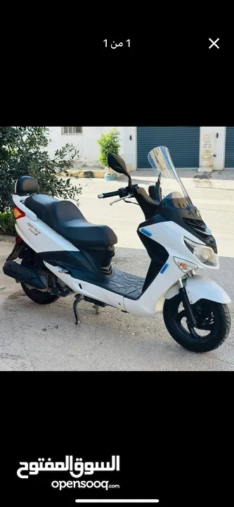 ايڤو رمش 2021