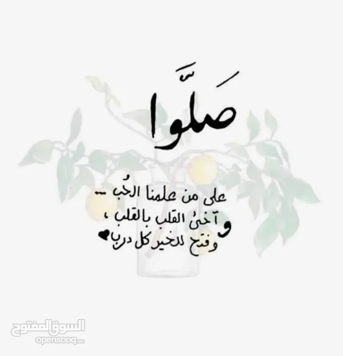 مطلوب معزا مواليد أو لجب حليب للشرا الفوري أو نعاج مواليد أو لجب حليب