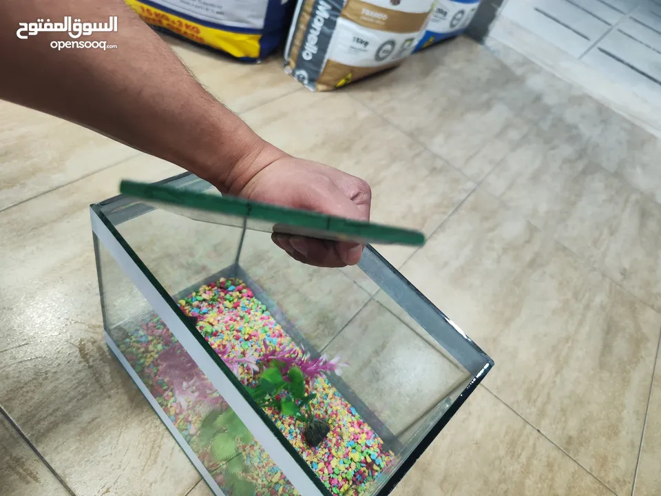 حوض سمك مجهز عبي مي و حط سمكاتك ، الطول 32 سم ارتفاع 23 سم عمق 21 سم