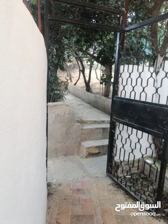 بيت معلق منفوض في اسكان ابو نصير حارة 4