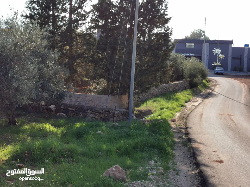 قطعة أرض مميزة في السلط الصبيحي سيحان بسعر مغري بمنطقة جميلة