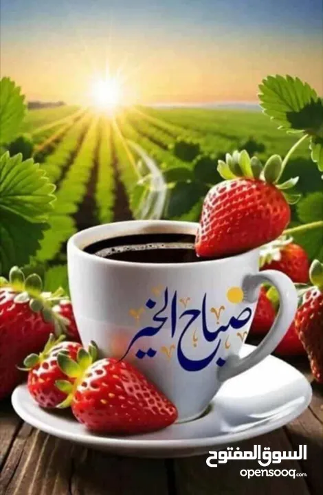 شقه للبيع...  في اربد  الصريح./بألقرب من مركز لايتام  منطقه جميله جدا وهادئه  طابق تاني فني // مساحه