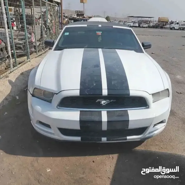 موستنغ كشف البيع كاش فقط