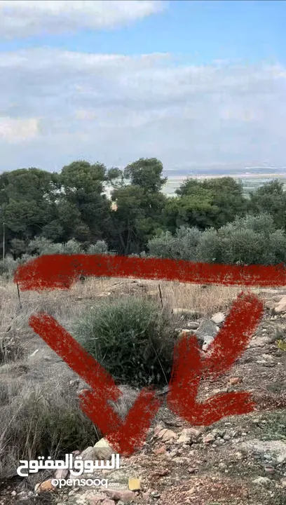 ارض سكنية مساحة 660 متر صافي