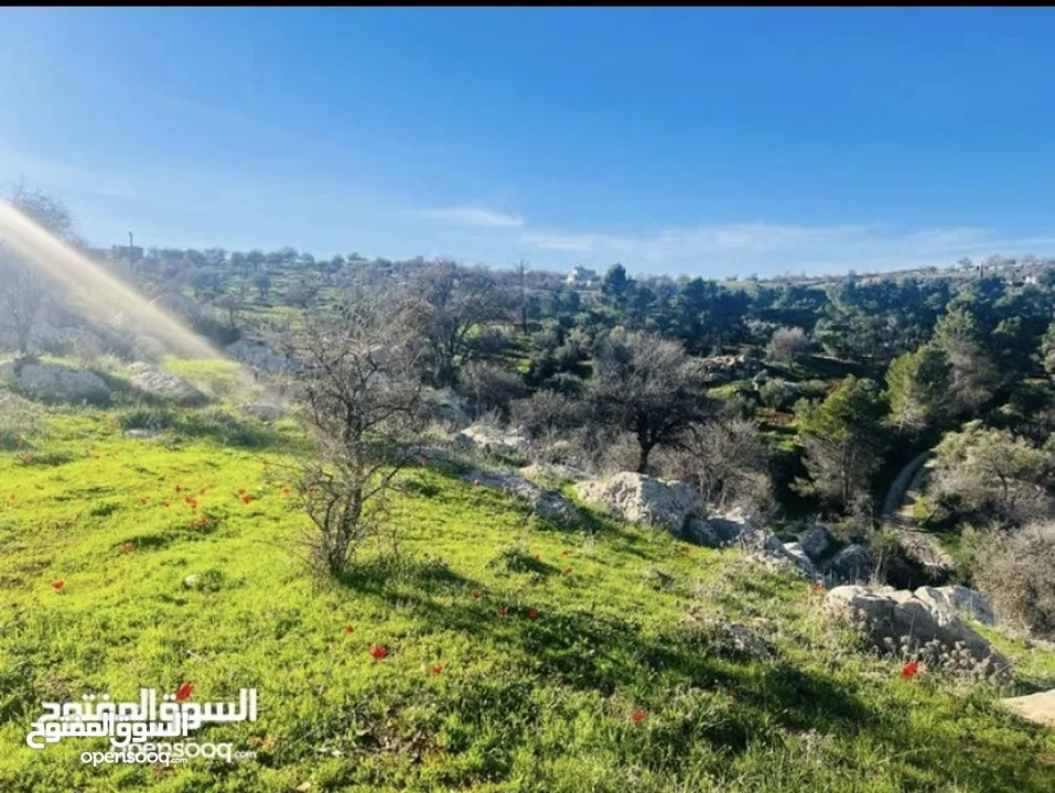 ارض زراعيه للبيع في اجمل مناطق العالوك