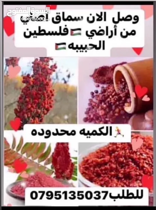 جبنه نابلسيه غنم ومعمول وكعك ودحدح وهريسه وكيك ومكدوس وورق عنب وملوخيه ودبس رمان وخروب  وعسل وزيتون