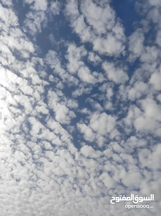 غااغتتبتبتتبتبت