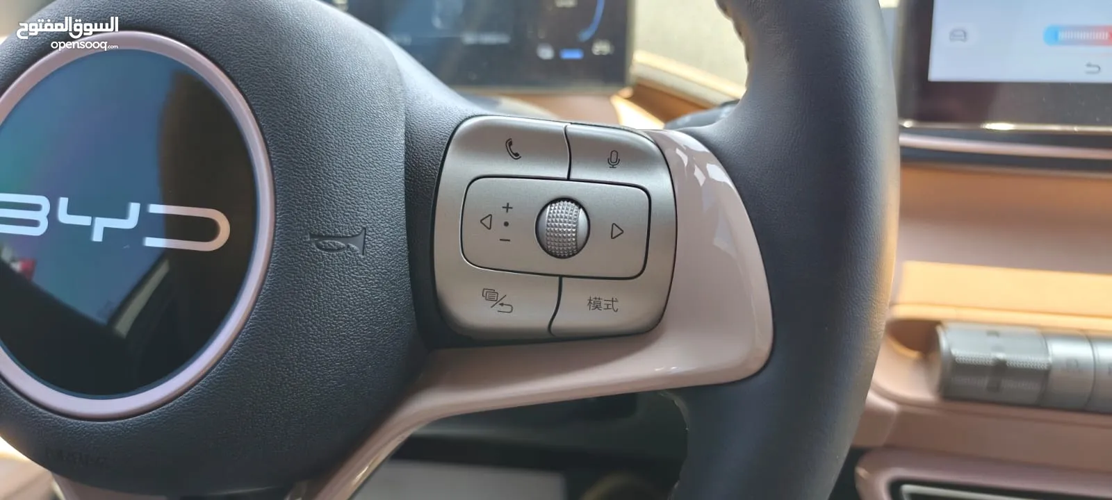 BYD SEAGULL 2023