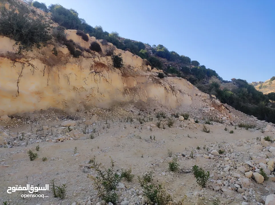 ارض للبيع 1000 متر طابو ابو نجيم