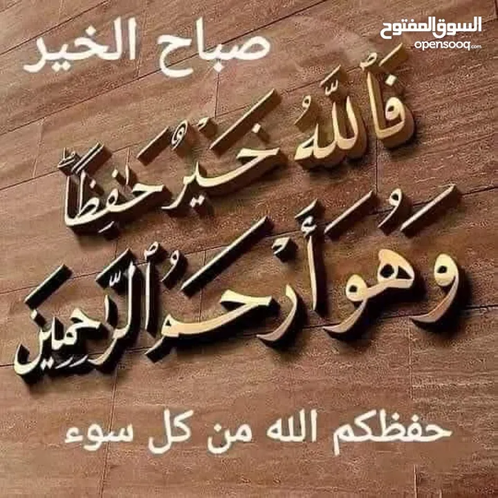 موجود زغاليل وديك هزاز اسود وفرخه بالوني