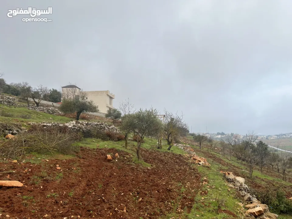 ارض للبيع في الأردن - عجلون