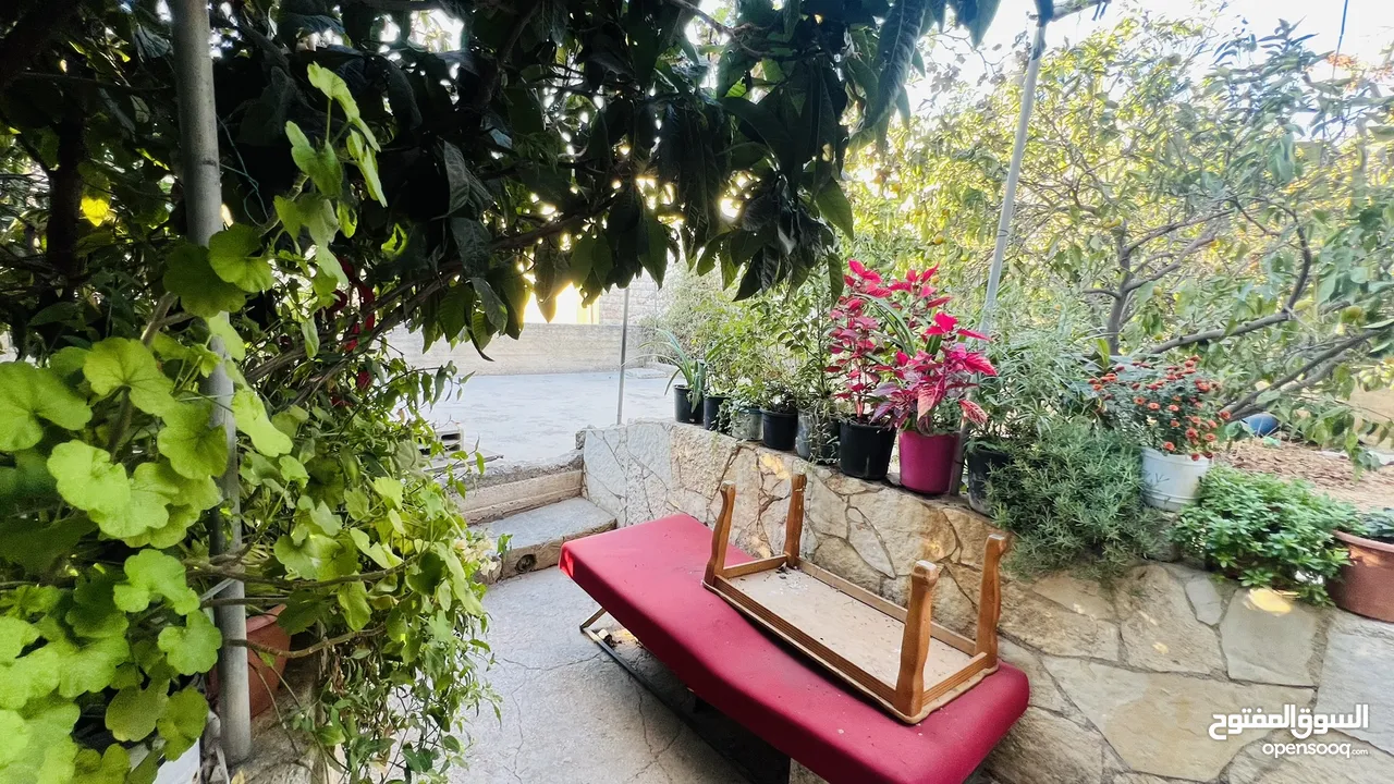 بيت ابو جاسر