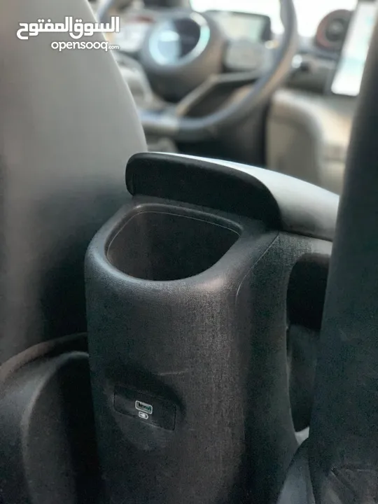 byd dolphin fashion 2022